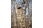 Property photo 5 - 44 Acres Offered in 3 Tracts